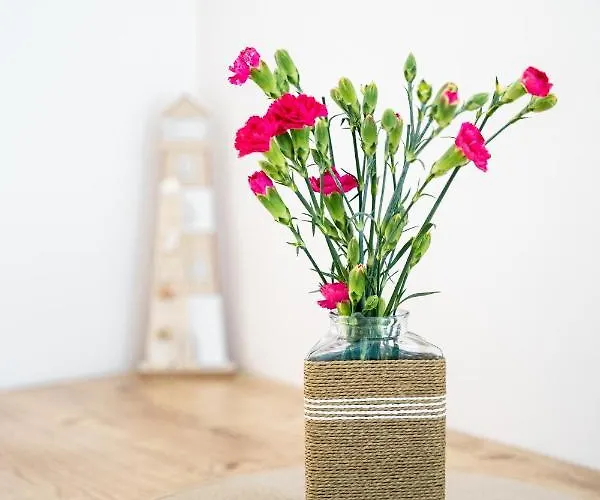 Sloneczny Przy Plazy *